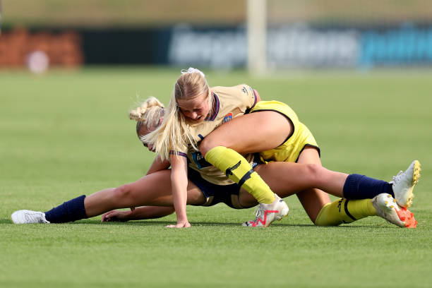 水平和观众 水平和观众