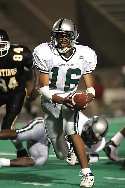 录了冰雕艺 录了冰雕艺