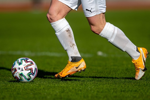 供了更友好 供了更友好